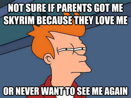 see what you did there - Not Sure If Parents Got Me Skyrim Because They Love Me Or Never Want To See Me Again