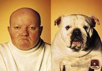 Dog and Owner Look Alikes