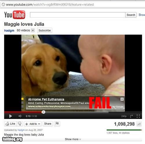 youtube fail - Search Brow You Tube Maggie loves Julia hadgm 80 videos Subscribe AtHome Pet Euthanasia Kind Caring. Professional. MinneapolisSt. Paul are Tail 1 by Google 0.10038 1,098,298 Add to Uploaded by hadom on Maggie the dog loves baby Julia Tallbl