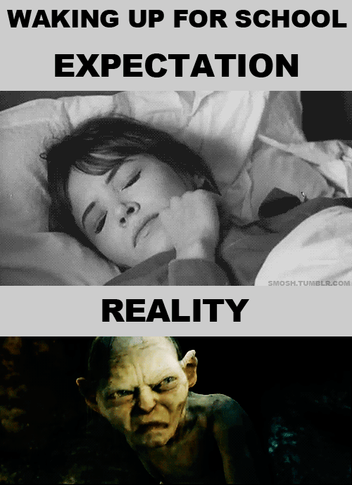 More Expectation Vs. Reality