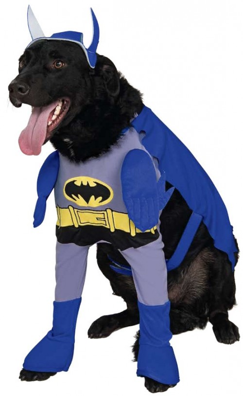 Animals Dressed as Batman Characters