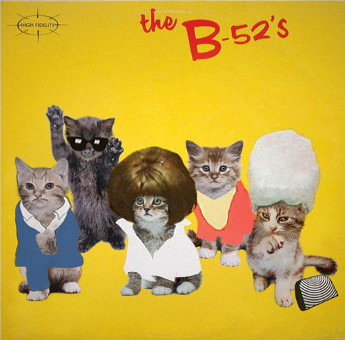 Cats Recreate Album Covers