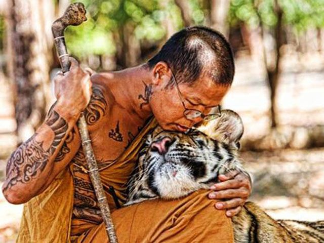 Human and animal friendships