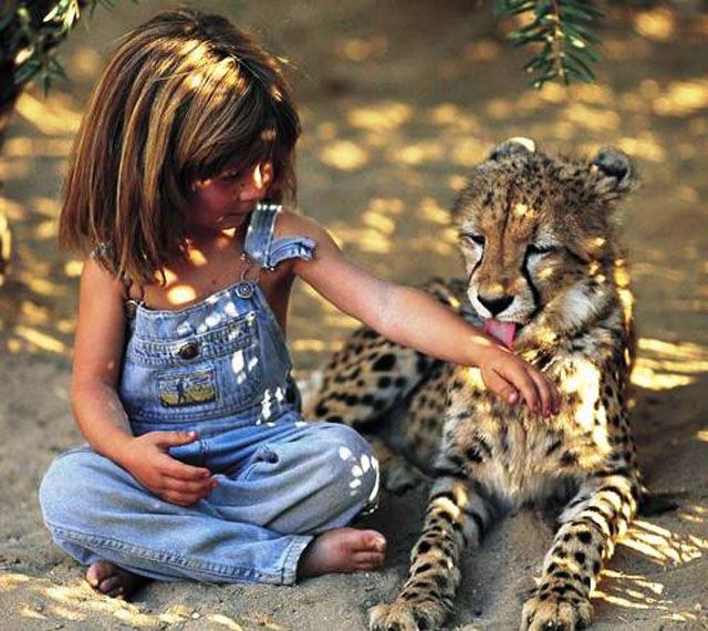 Human and animal friendships