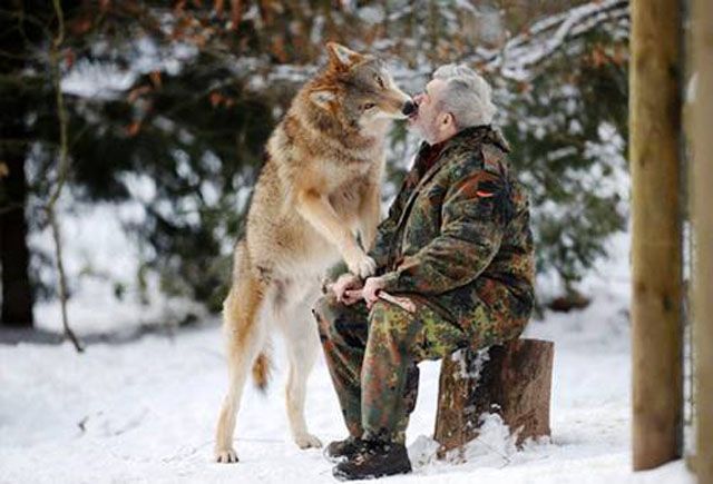 Human and animal friendships