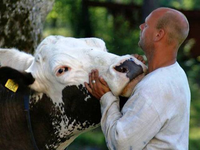 Human and animal friendships