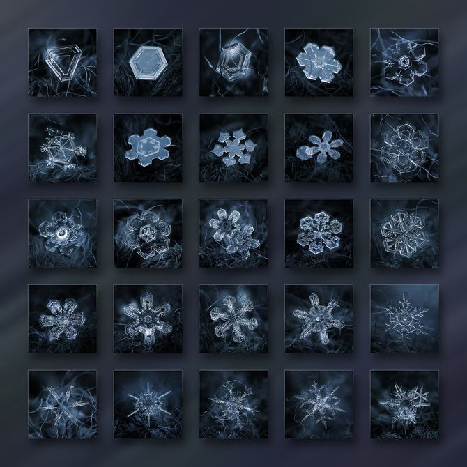 Snowflakes