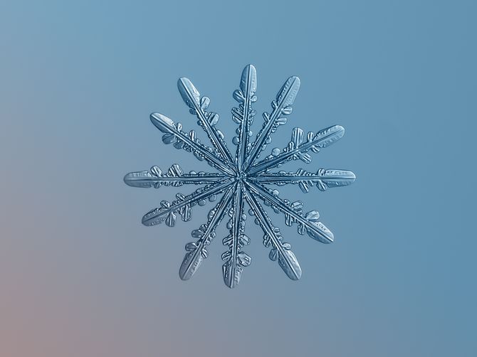 Snowflakes