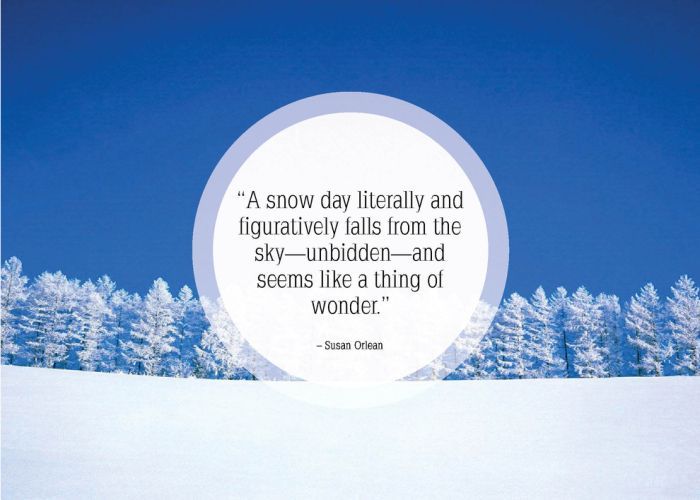 The Wonder of Snow