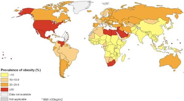 Fattest In The World:We don't really need a map to know that Americans are overweight.