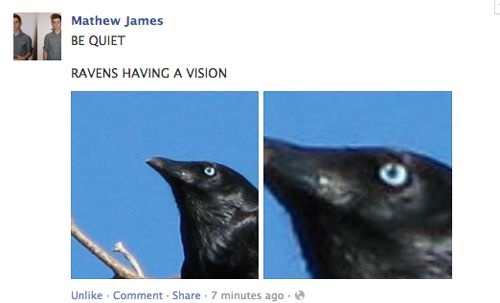 beak - Mathew James Be Quiet Ravens Having A Vision Un Comment . . 7 minutes ago.