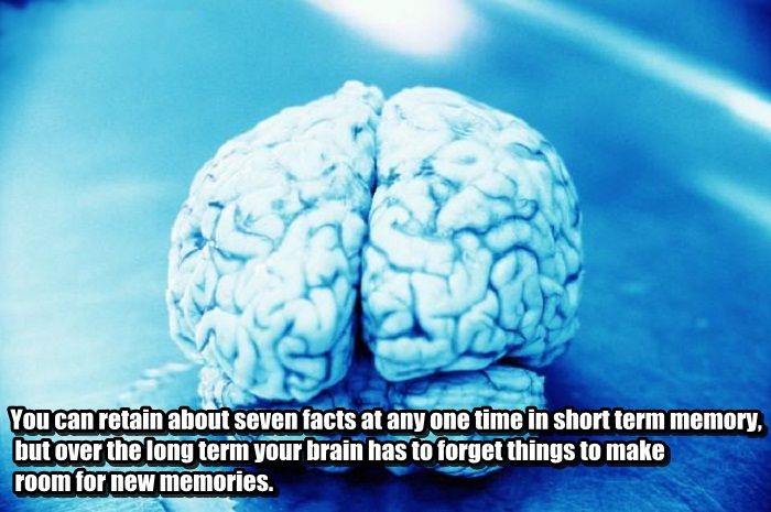 Facts you didn't know about your brain