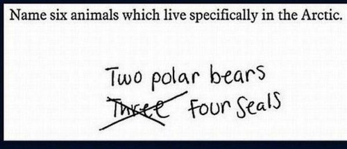 handwriting - Name six animals which live specifically in the Arctic. Two polar bears The Four Seals