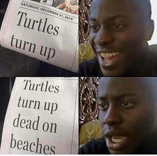 Turtles turn up dead on beaches black man reacts