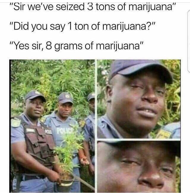 meme of cops that found weed and the amount keeps getting smaller