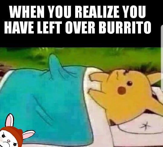 Burrito dreams