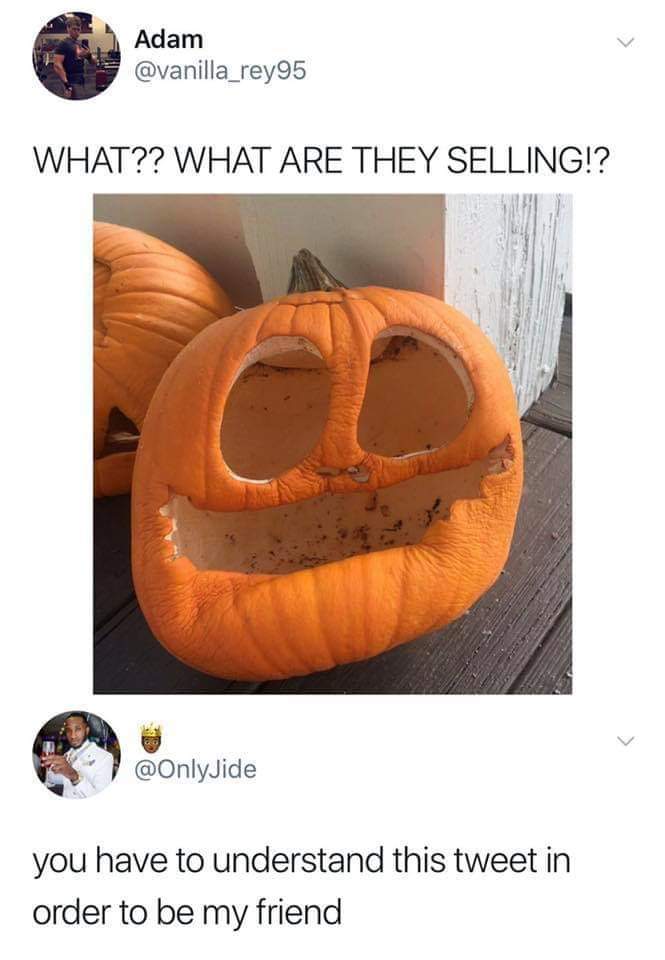 Funny meme - pumpkin what are they selling - Adam What?? What Are They Selling!? you have to understand this tweet in order to be my friend