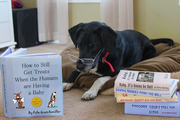 The 24 Funniest Baby Announcements of All Time