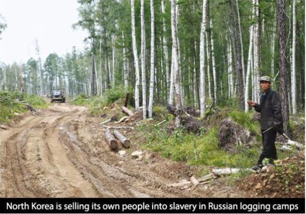 North Korea - North Korea is selling its own people into slavery in Russian logging camps
