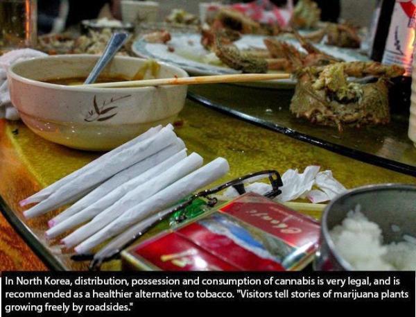 In North Korea, distribution, possession and consumption of cannabis is very legal, and is recommended as a healthier alternative to tobacco. "Visitors tell stories of marijuana plants growing freely by roadsides."