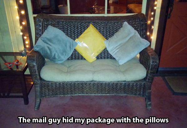 delivery fails - The mail guy hid my package with the pillows