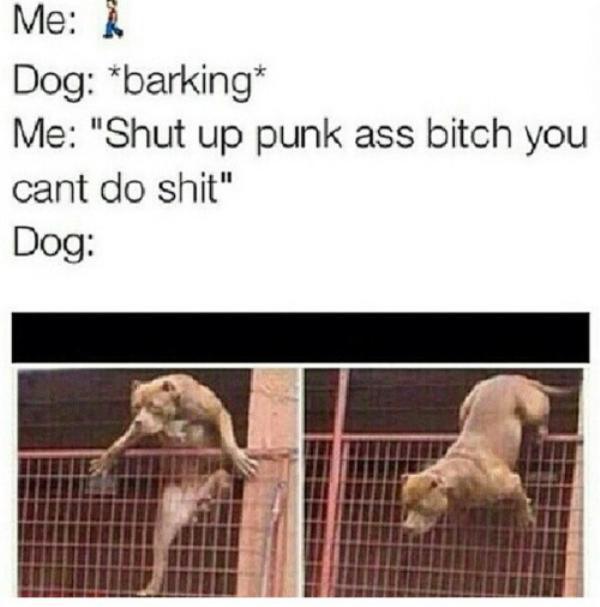bad day bitch you didnt hear me barking - Me Dog barking Me "Shut up punk ass bitch you cant do shit" Dog