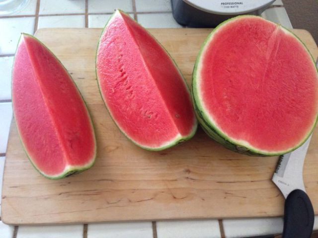 The discovery, and slicing, of this watermelon.