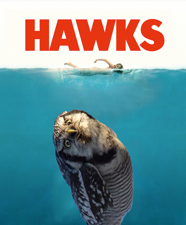 photoshop jaws movie poster - Hawks