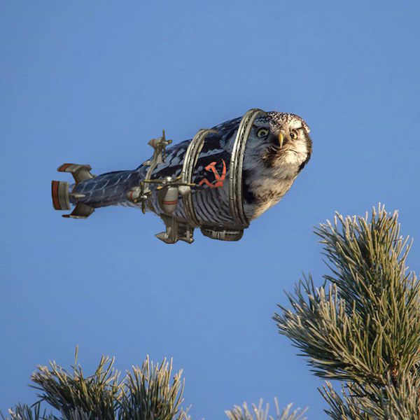 photoshop owl spaceship