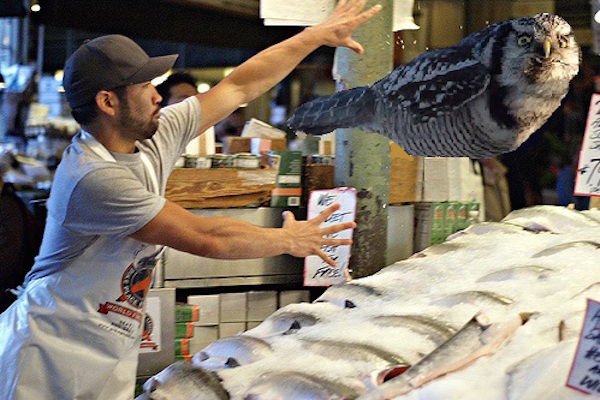 photoshop pike place market throwing fish
