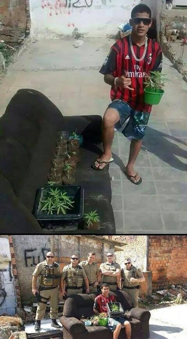 funny pictures of before and after growing marijuana with grow area and being busted by swat team full of cops