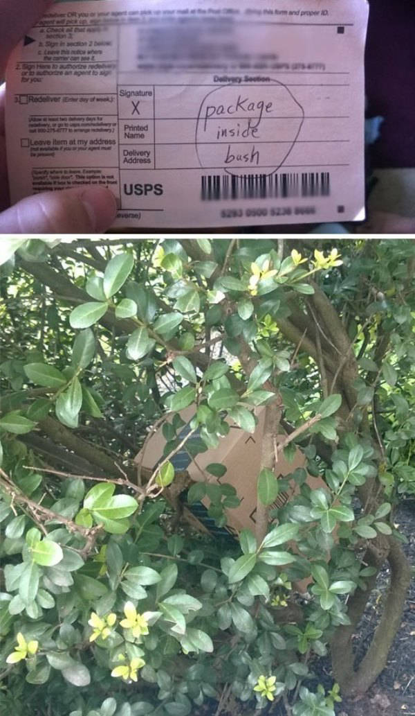 package inside bush - and pro or otras manto Signature De Rodelivery package insi Printed Name side Leave Item at my address Delivery Address bush Usps