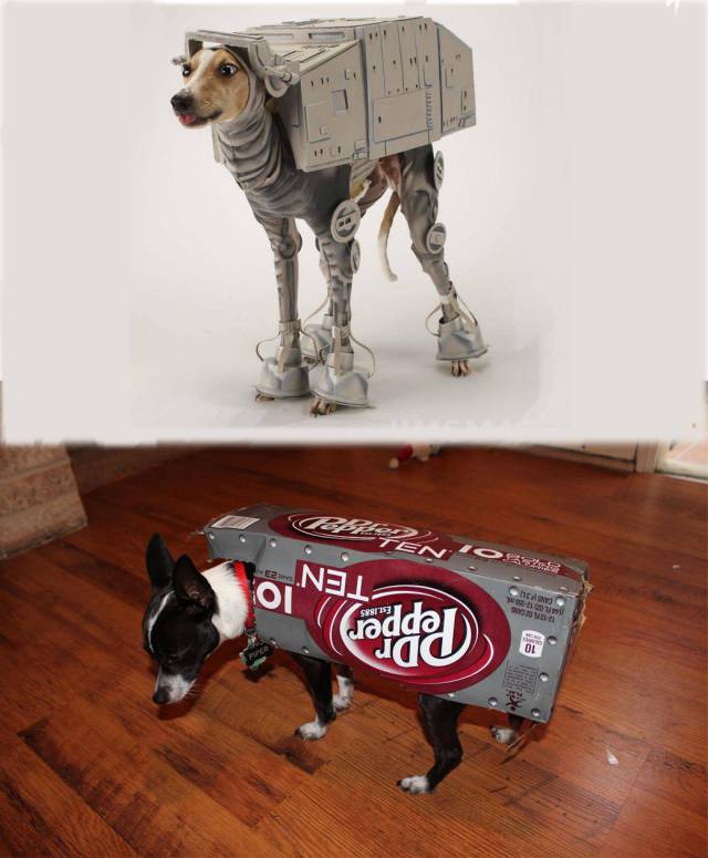 star wars dog costume