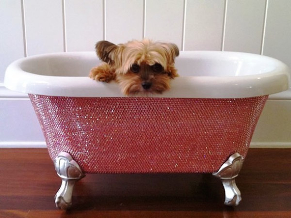 Stone Encrusted Bathtub For Puppies: Available at a price of $39,000, the bathtub is encrusted with 45,000 Swarovski Crystals.