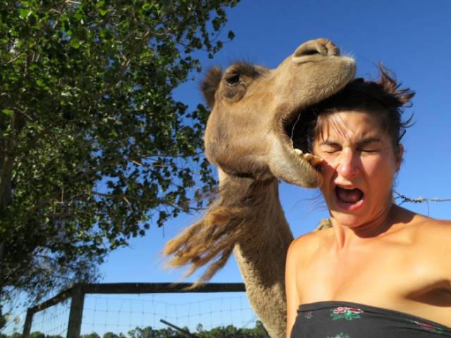 29 Awesome Photos Taken At The Perfect Moment