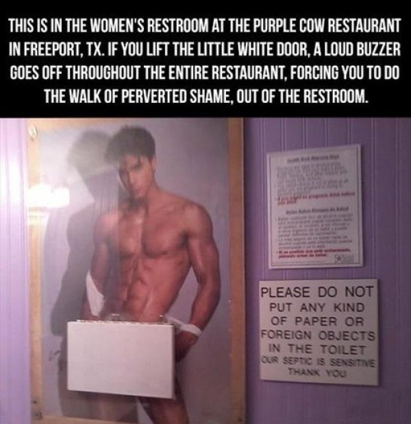 funny perverted quotes - This Is In The Women'S Restroom At The Purple Cow Restaurant In Freeport, Tx. If You Lift The Little White Door, A Loud Buzzer Goes Off Throughout The Entire Restaurant, Forcing You To Do The Walk Of Perverted Shame, Out Of The Re