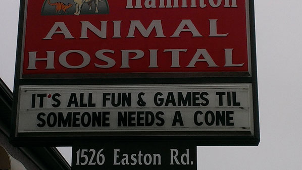 street sign - yo'nalIUNI Animal Hospital It'S All Fun & Games Til Someone Needs A Cone 1526 Easton Rd.