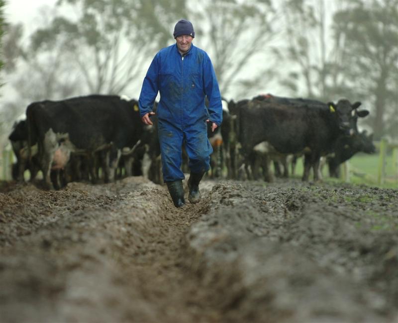 Farm worker. Early hours, animal s%#t, crappy pay and back-breaking work – sign us up!