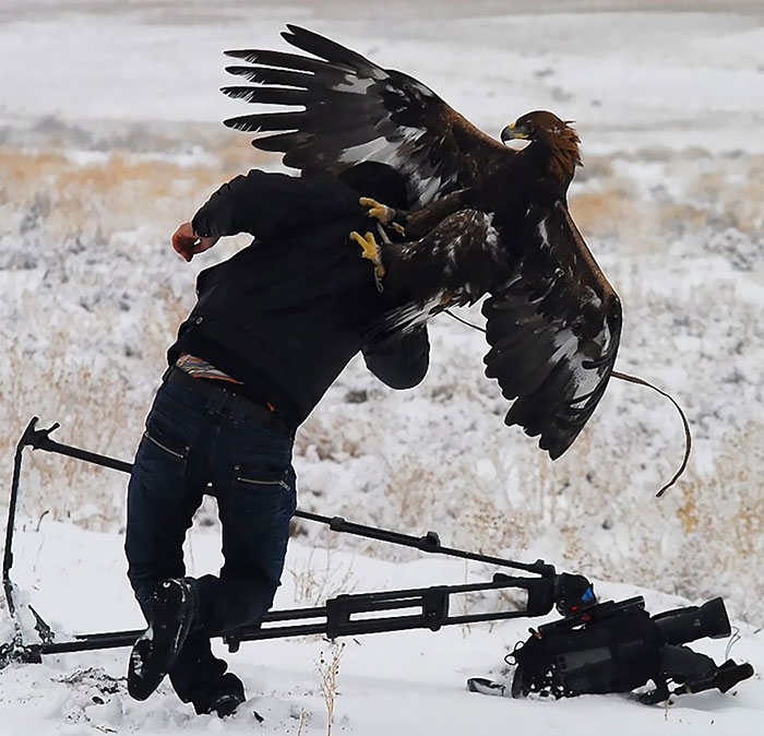 Crazy Photographers That Risk There Lives For The Perfect Shot