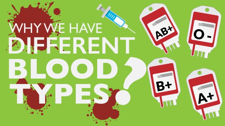 A photo asking why we have different blood types