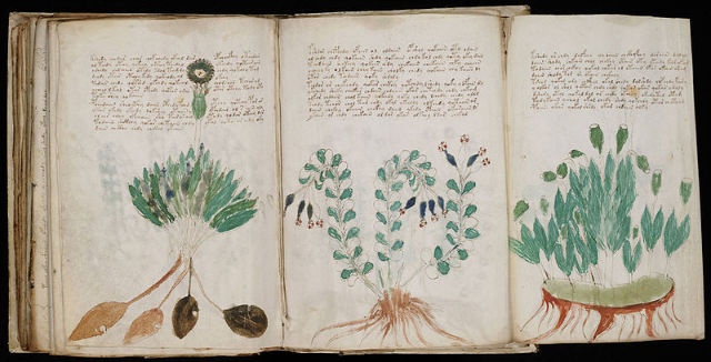 The Voynich Manuscript.This 240 page book was written in the 15th century in a secret language that is completely unknown. It has been read by many professional cryptographers but none have been able to decipher it.