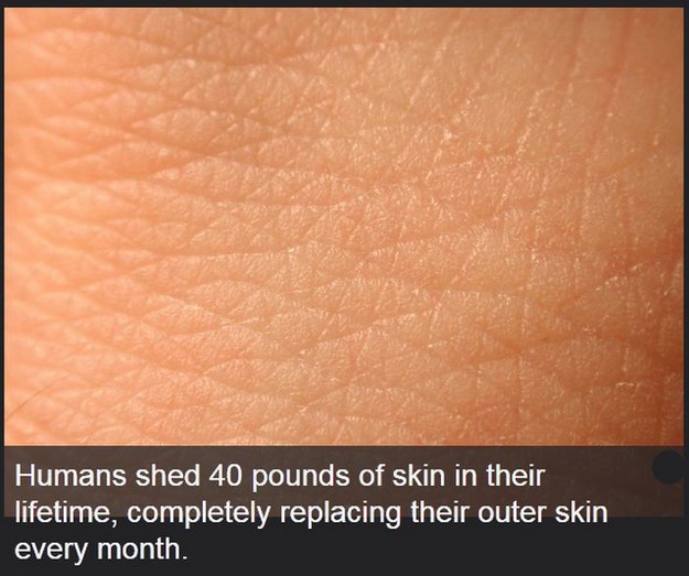 Amazing Facts About Human Body That You Didn’t Know About