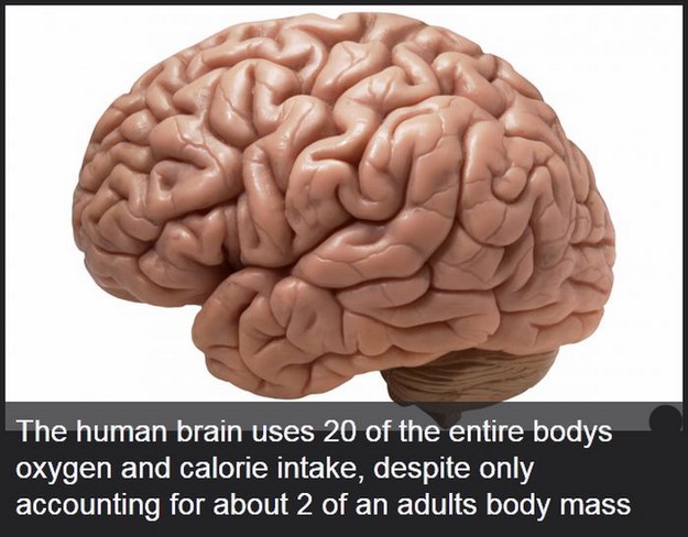 Amazing Facts About Human Body That You Didn’t Know About