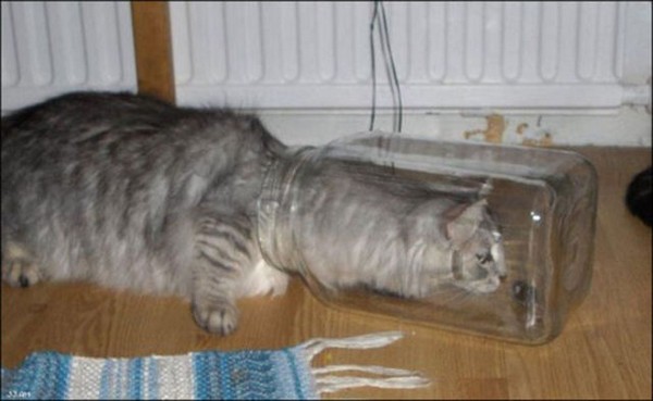 23 People And Things That Will Confuse The Fuck Out Of You