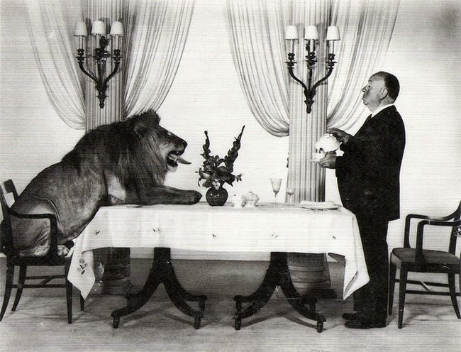 Alfred Hitchcock has tea with Leo, the MGM lion.