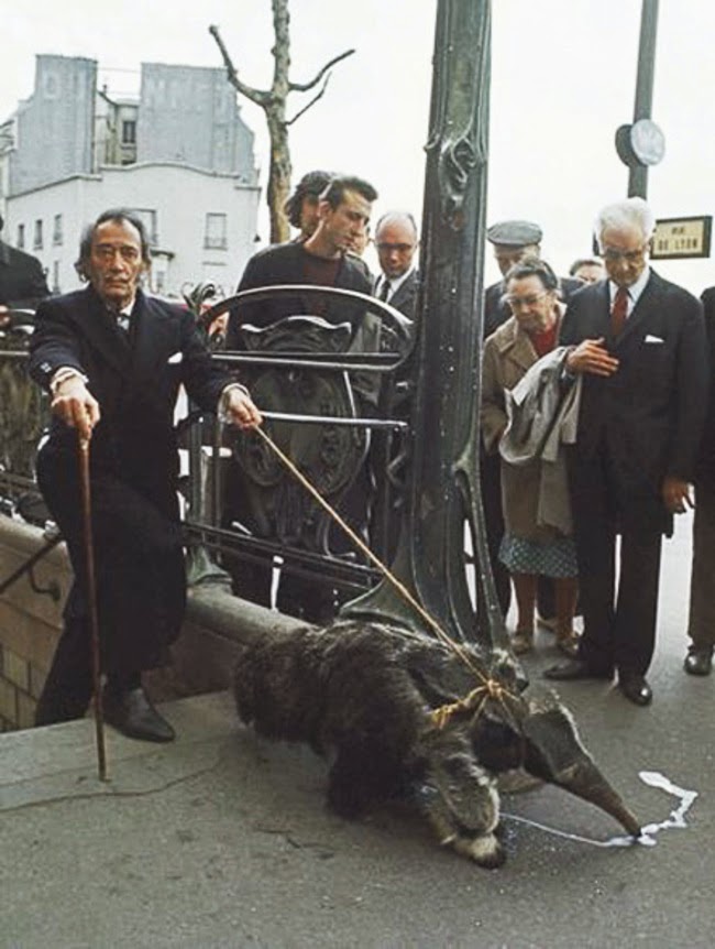 Salvador Dali with his pet anteater in 1969.