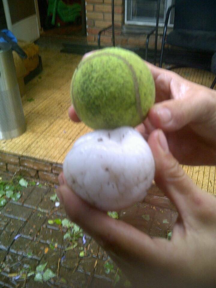 Hailstones from a storm this morning in South Africa