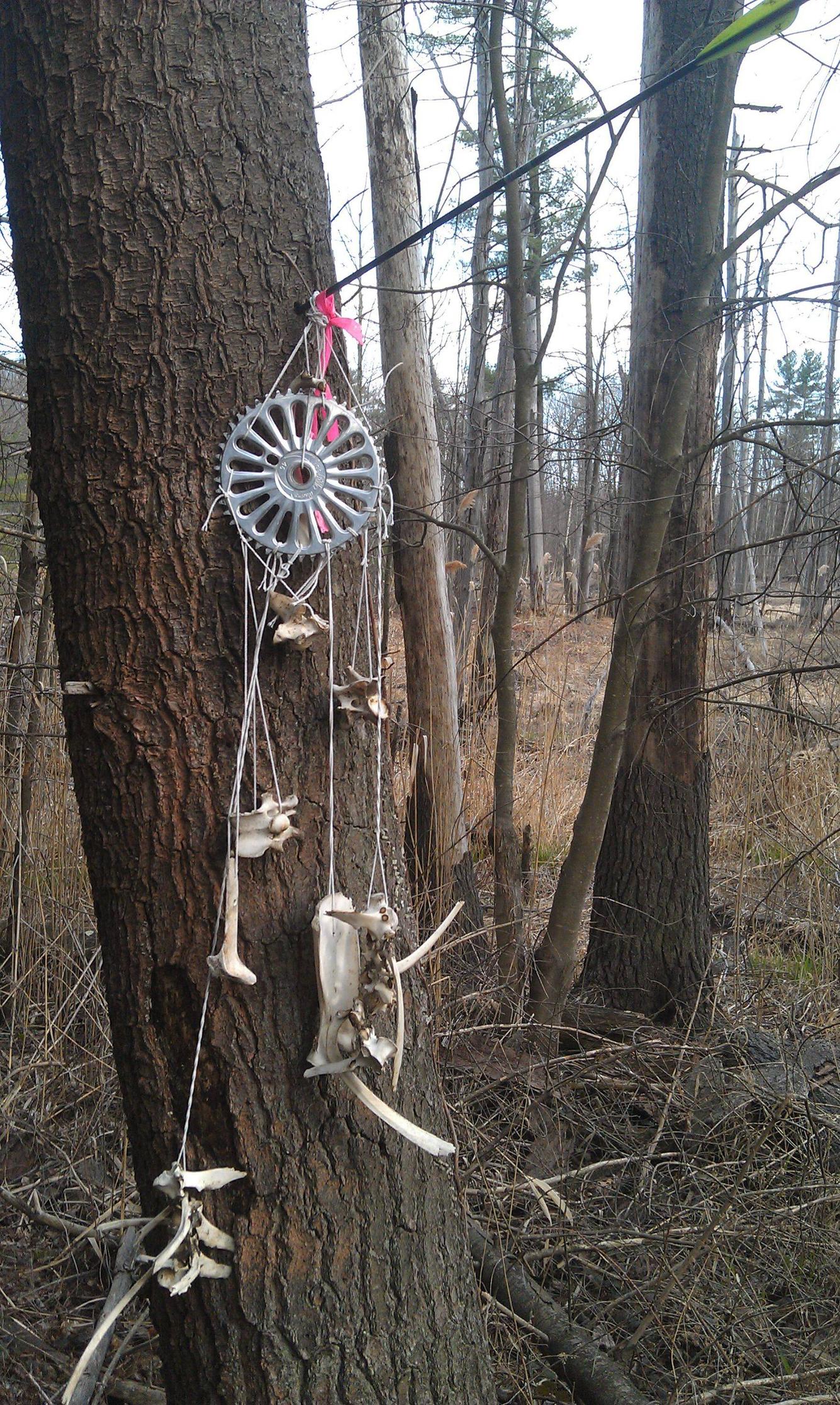 Someone stumbled upon this in the woods.... NOPE.