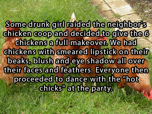 craziest things that have ever happened - Some drunk girl raided the neighbor's chicken coop and decided to give the 6 chickens a full makeover. We had chickens with smeared lipstick on their beaks, blush and eye shadow all over their faces and feathers. 