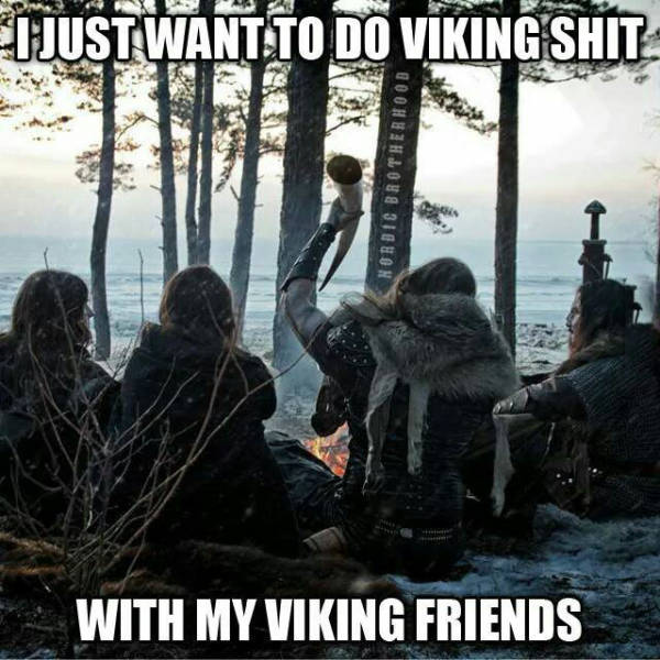 random pic of just want to do viking shit - I Just Want To Do Viking Shit Nordic Brotherhoob With My Viking Friends